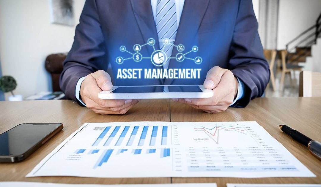 Diversification and Risk Management in Asset Management Strategies for March 2026